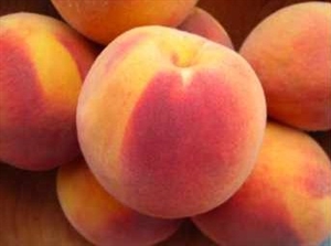 Picture of Flavoring; Fruit : Peach