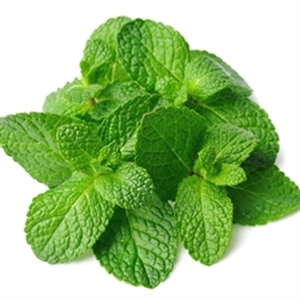 Picture of Flavoring; Spearmint