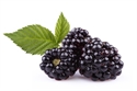 Picture of Flavoring; Fruit : Blackberry